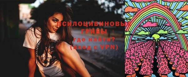 амф Алексин